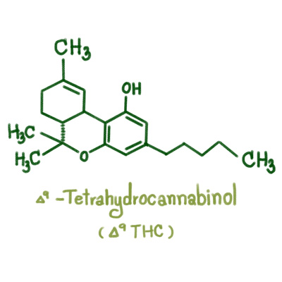 Delta 9 THC Strukturformel