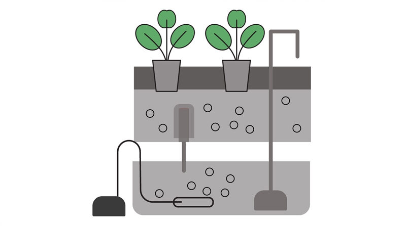 Ebbe-Flut-System Aufbau eine Ebbe-Flut-Systems: Wassertank, Pumpe unten und darüber der Fluttisch mit den Pflanzen.